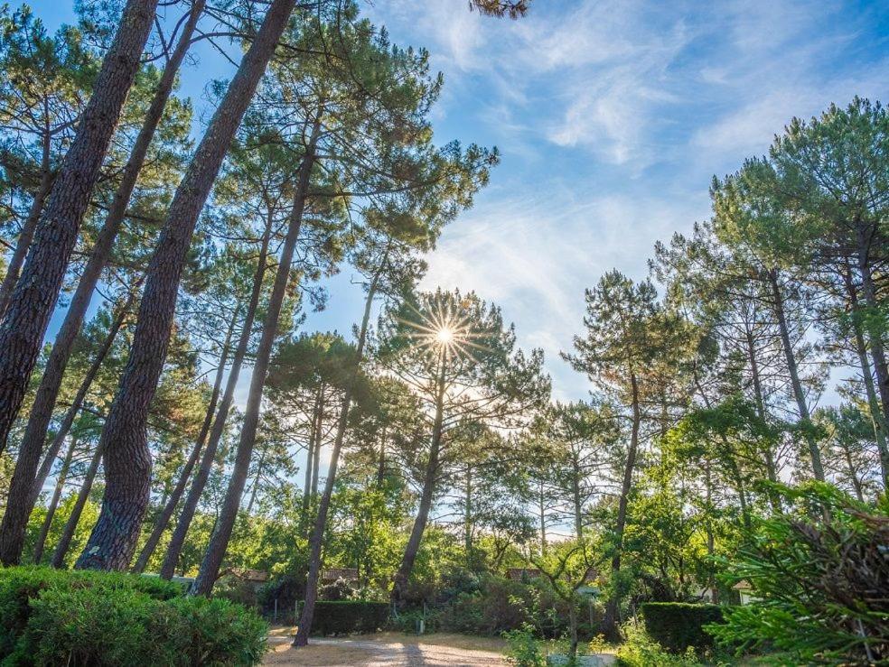 Camping Арес Экстерьер фото