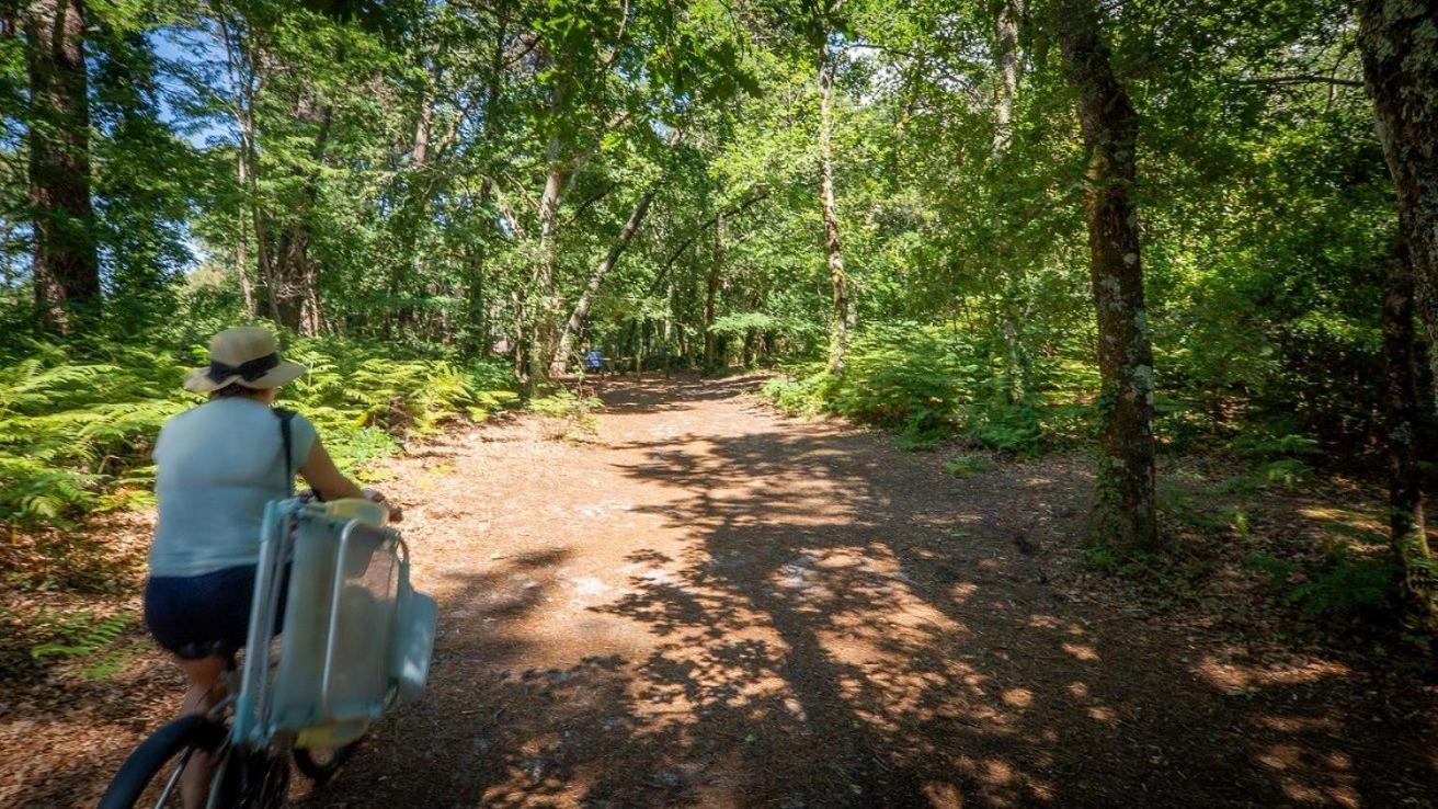 Camping Арес Экстерьер фото