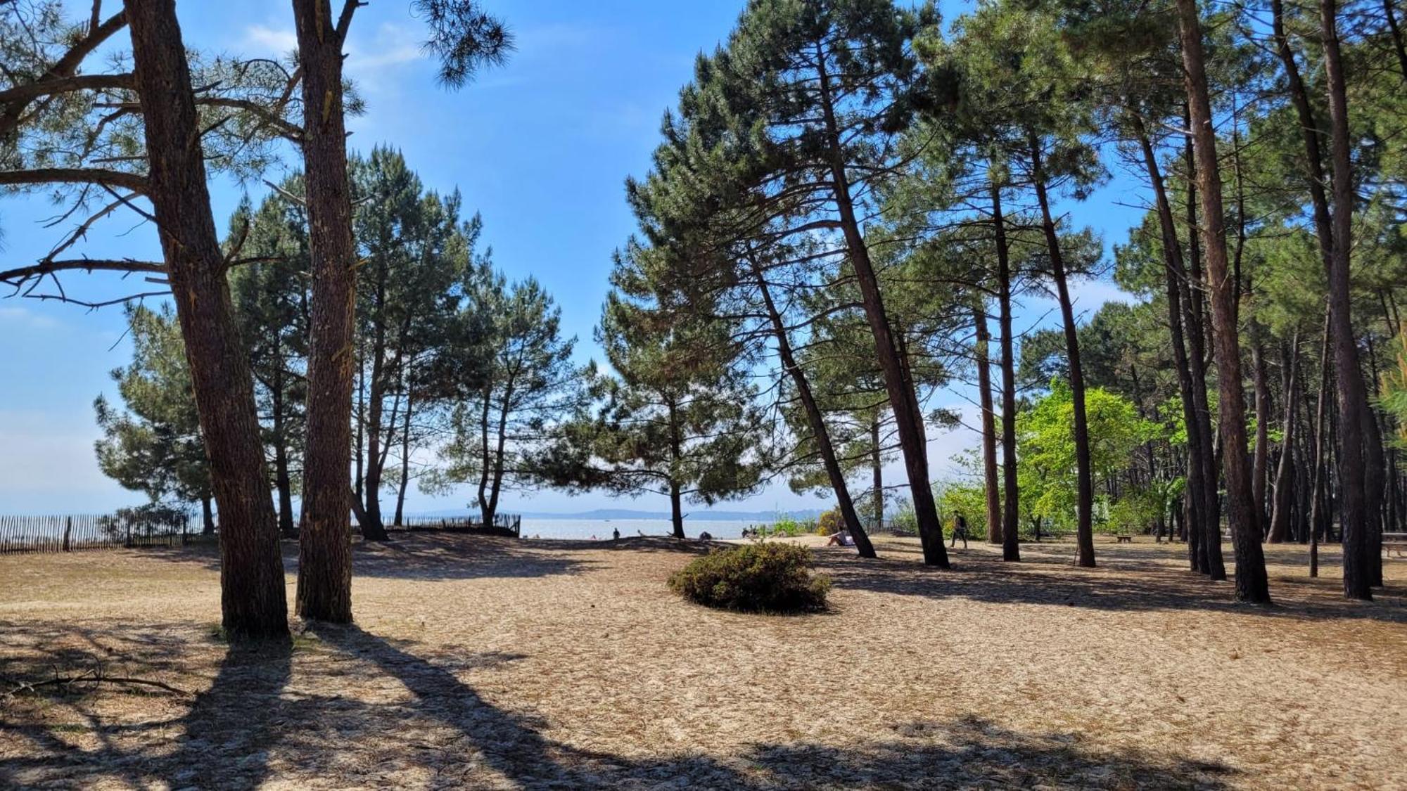 Camping Арес Экстерьер фото